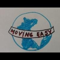 Fun Moving Consulting!